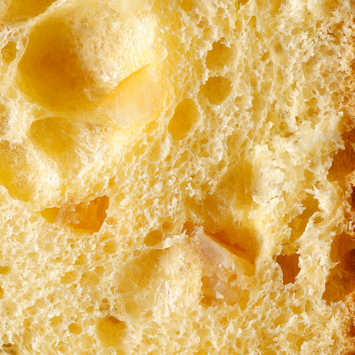 Dettaglio impasto Panbriacone Limoncello 850g