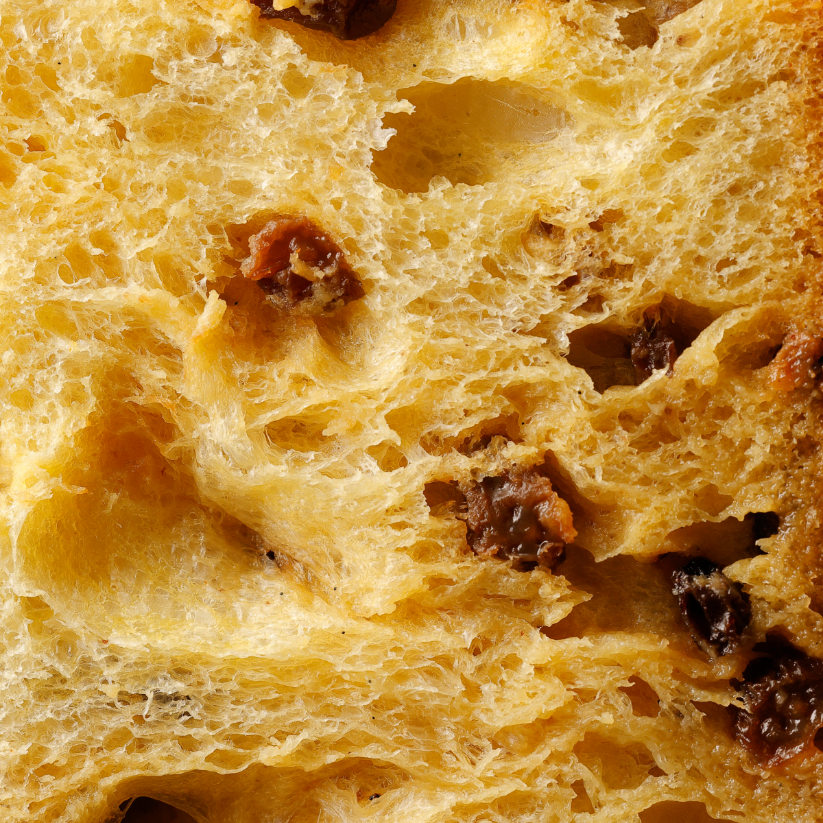 Dettaglio impasto Bria Tronchetto Panbriacone Classico